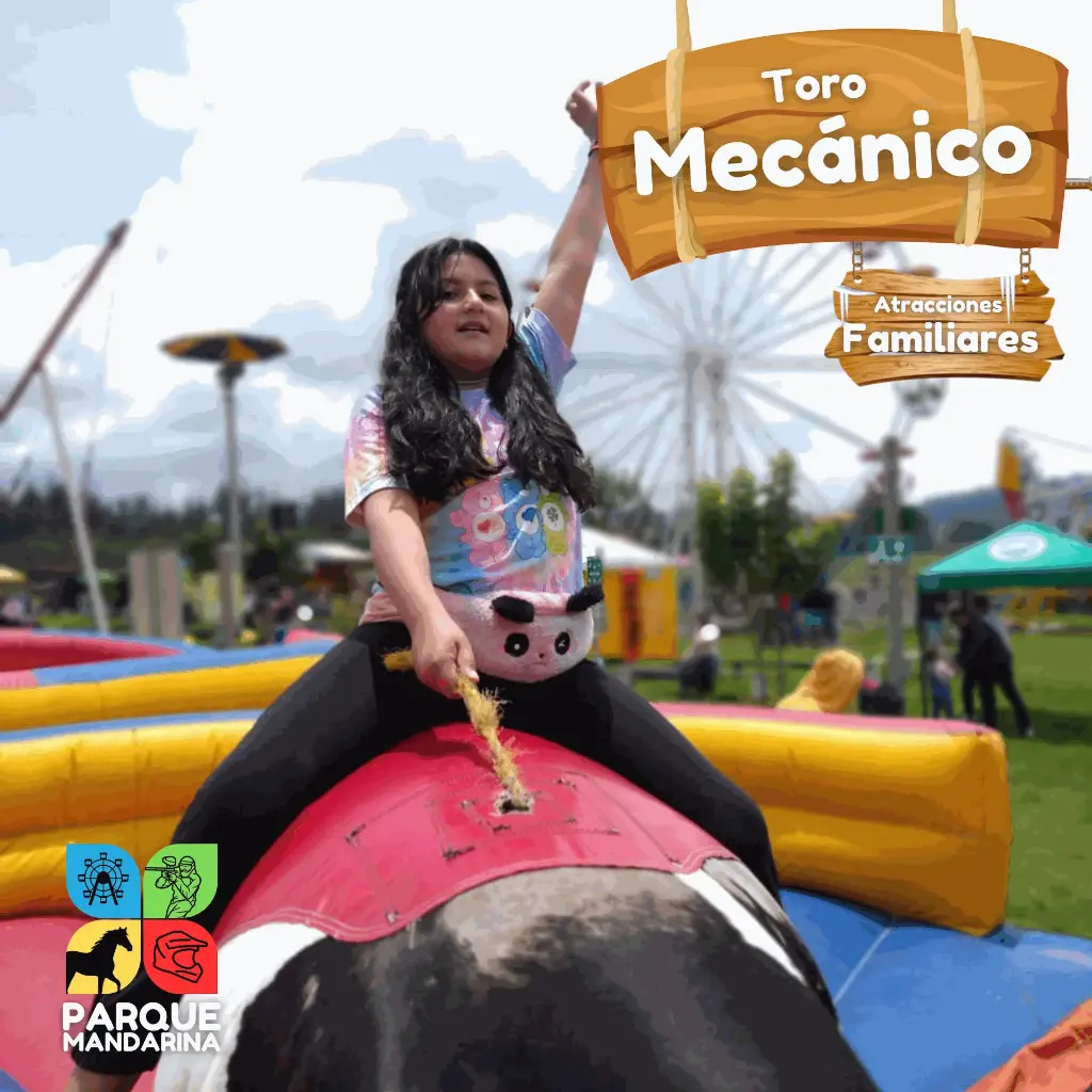 Toro Mecánico