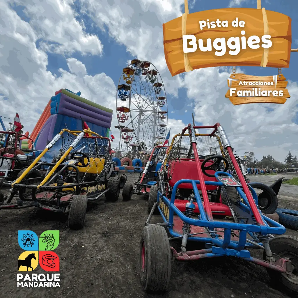 Pista de Buggies