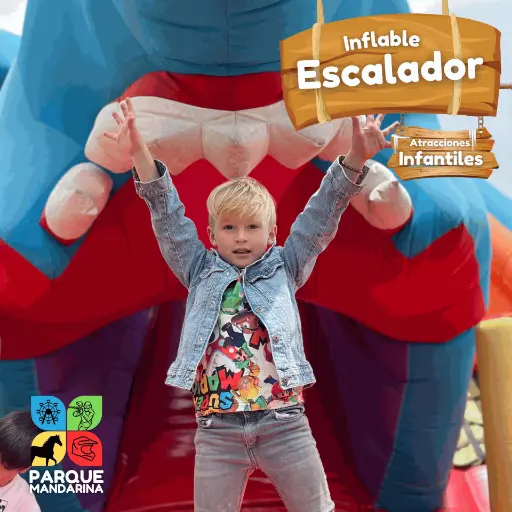 Inflable Escalador